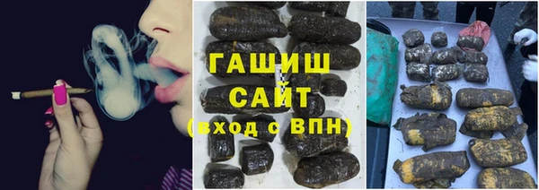 твердый Бородино
