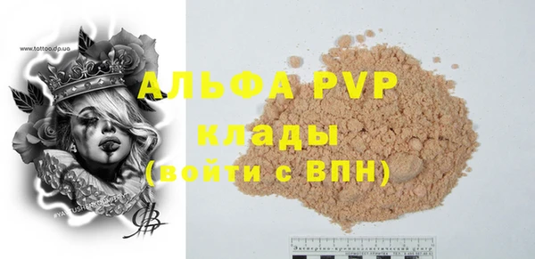 твердый Бородино