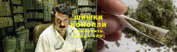 дживик Бронницы