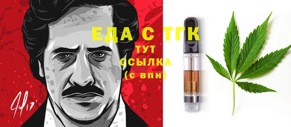 дживик Бронницы