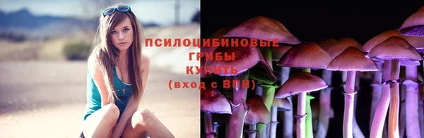 дживик Бронницы