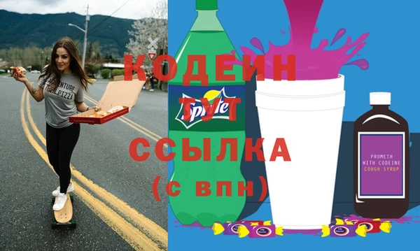 твердый Бородино