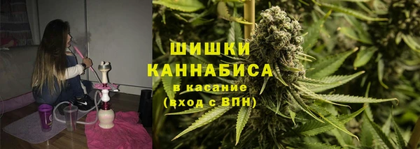твердый Бородино