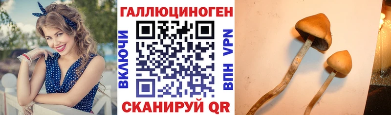 Галлюциногенные грибы Magic Shrooms  Сясьстрой 