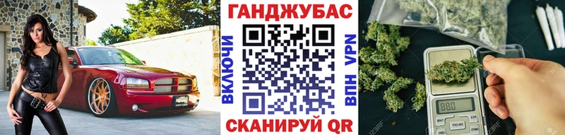 Бошки Шишки Amnesia  OMG сайт  Сясьстрой 